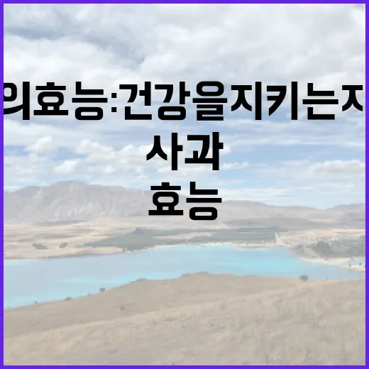 사과의 효능: 건강…