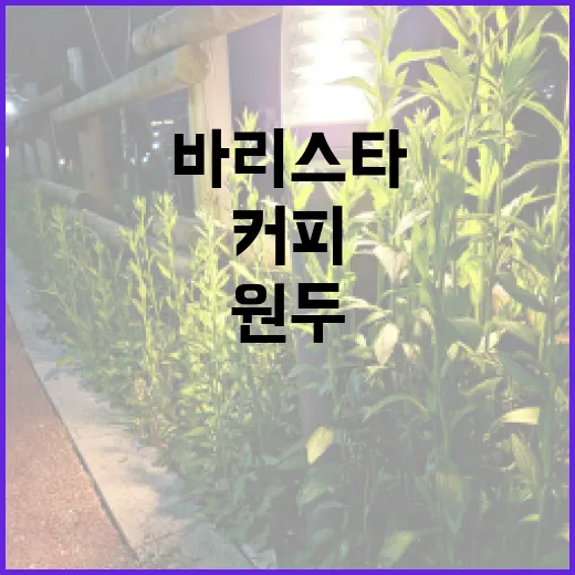 커피원두, 바리스타…