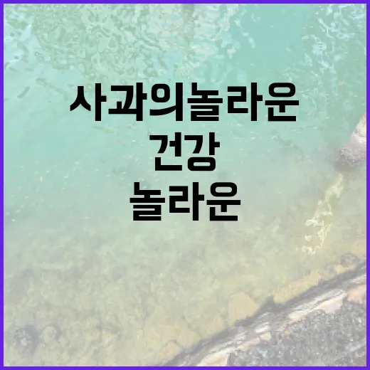 사과의 놀라운 건강…
