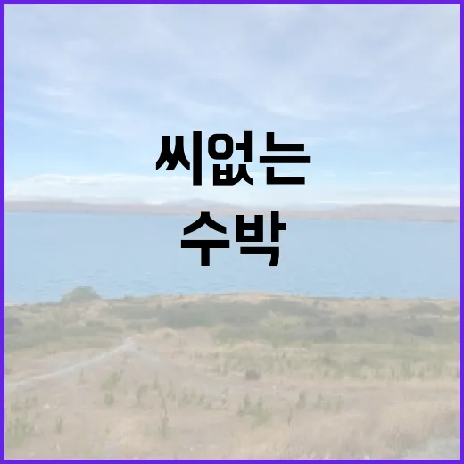 수박, 여름의 달콤…