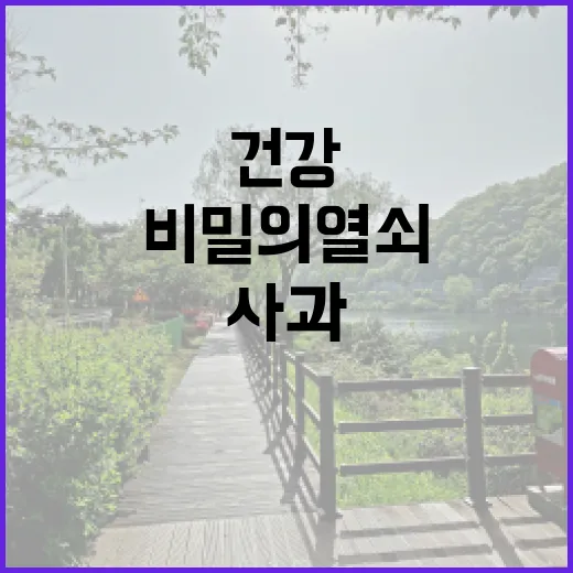 사과, 건강을 지키는 비밀의 열쇠