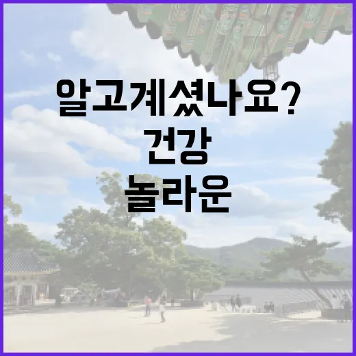 수박, 여름의 시원…