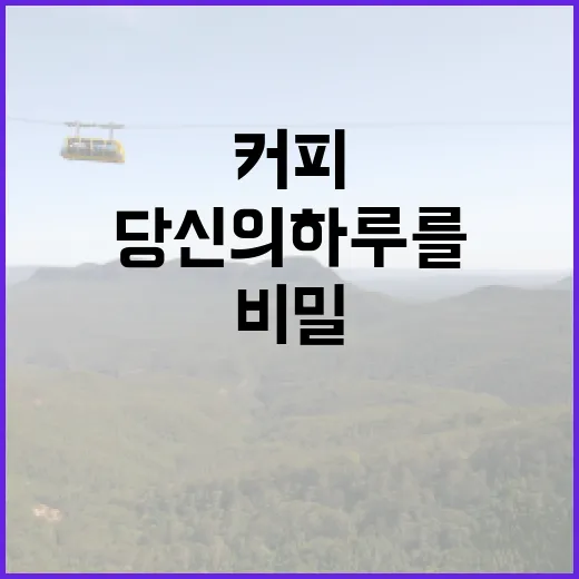 커피원두, 우리의 …