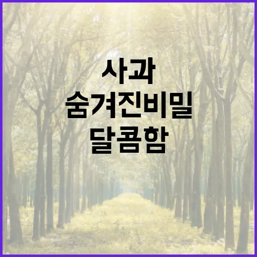 사과의 매력: 건강…