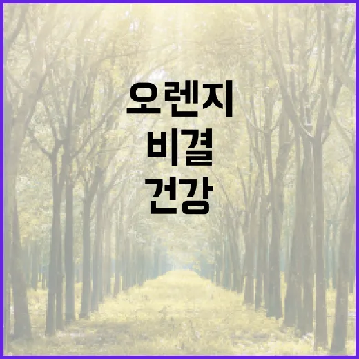 오렌지의 매력, 건…