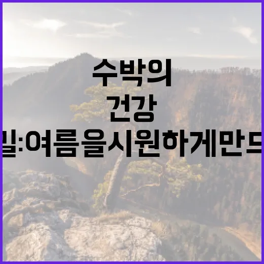 수박에 담긴 무한 …