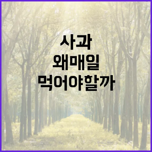 사과와 우리의 삶:…