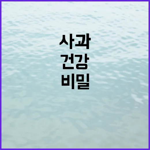 사과, 단순한 과일…