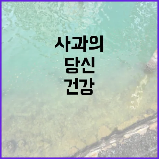 사과의 매력적인 시…