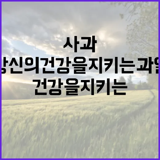 사과가 주는 건강의…