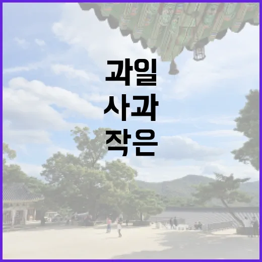 사과, 이 작은 과…