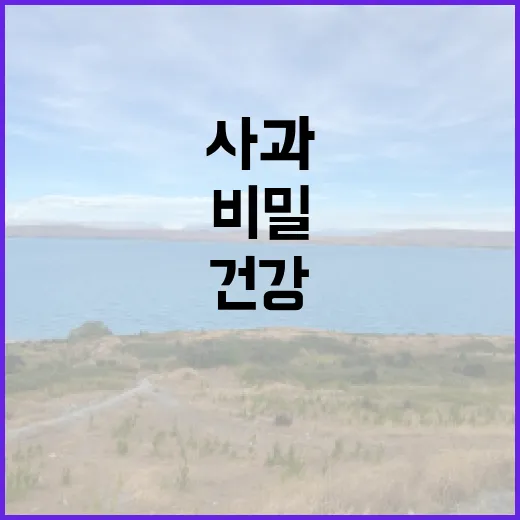 사과의 비밀: 아는…