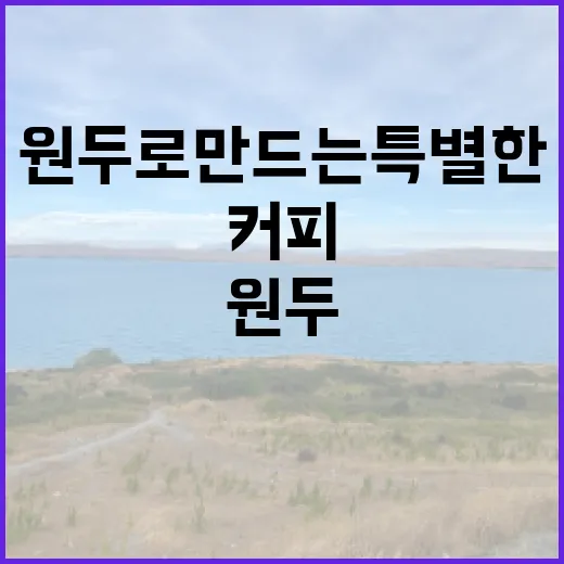 커피원두로 만드는 …