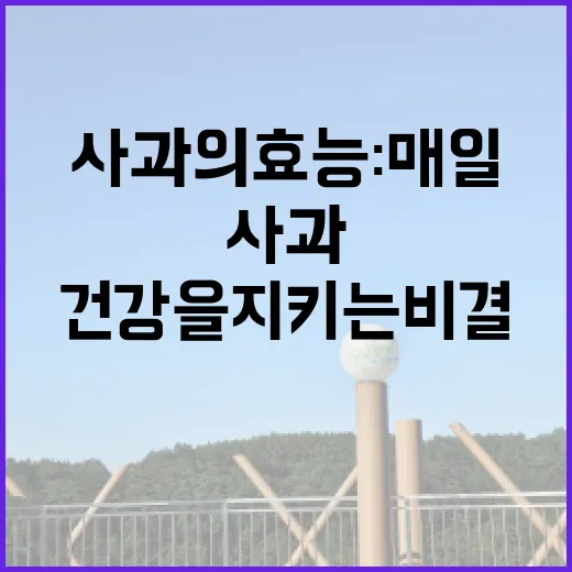 사과의 효능: 매일…