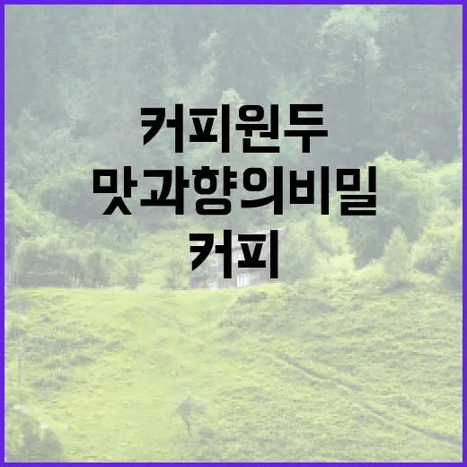커피원두: 맛과 향…