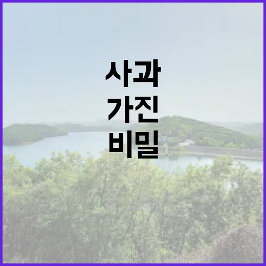 사과의 매력을 재발…