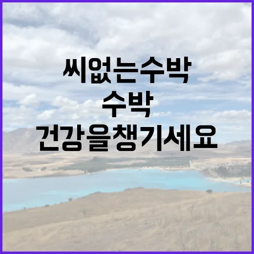 수박, 여름철 건강…