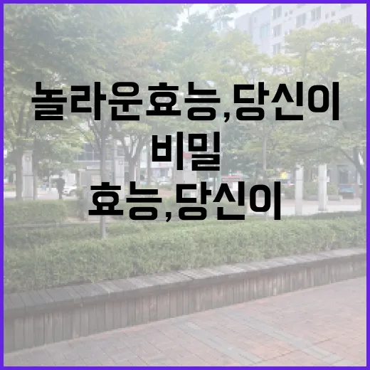 사과의 놀라운 효능…