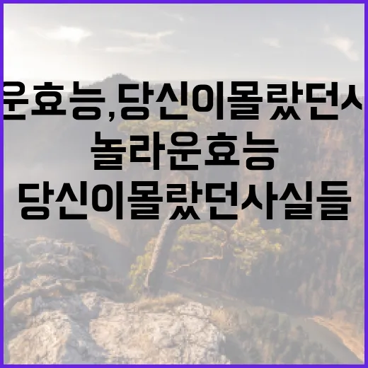 사과의 놀라운 효능…
