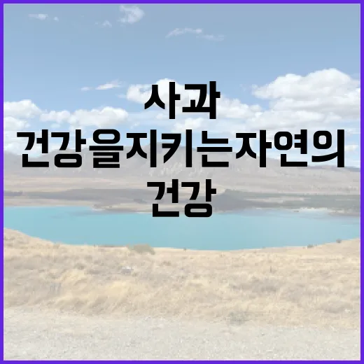 사과, 자연이 선사…