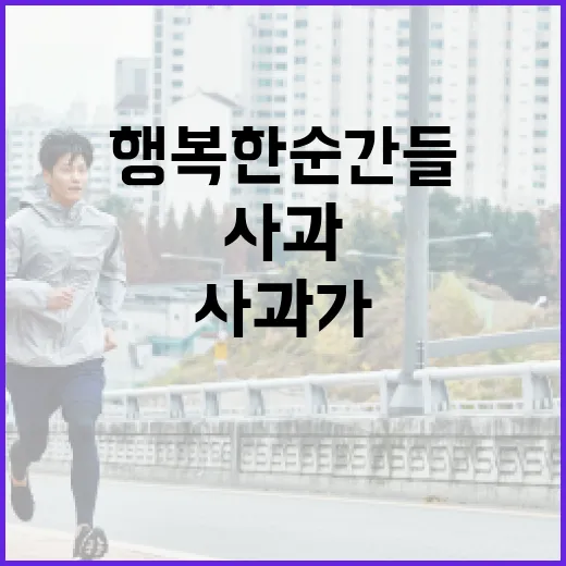 사과가 선사하는 행…