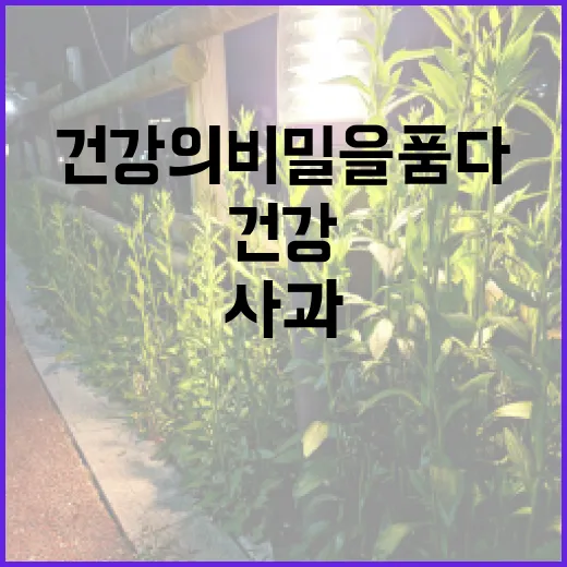 사과, 건강의 비밀…
