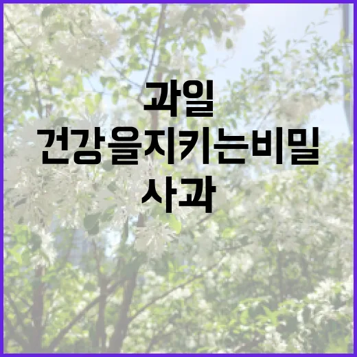 사과, 우리의 건강…
