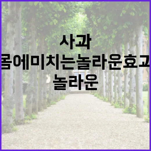 사과의 매력, 당신…