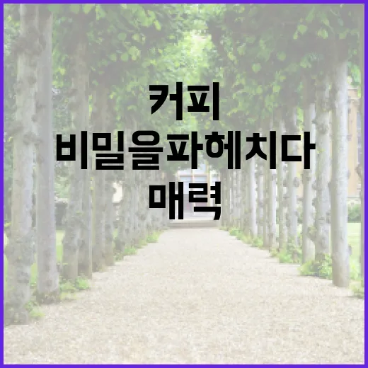 커피원두, 바리스타…