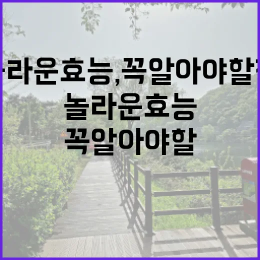 사과가 가진 놀라운…