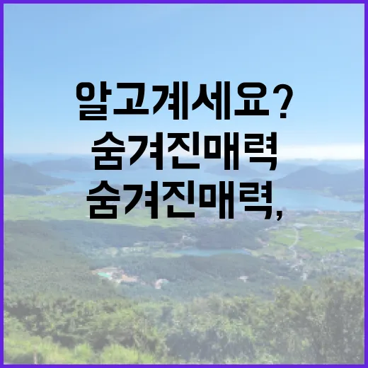 수박의 숨겨진 매력…