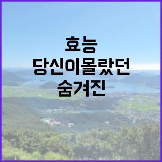 사과, 인간 관계를…