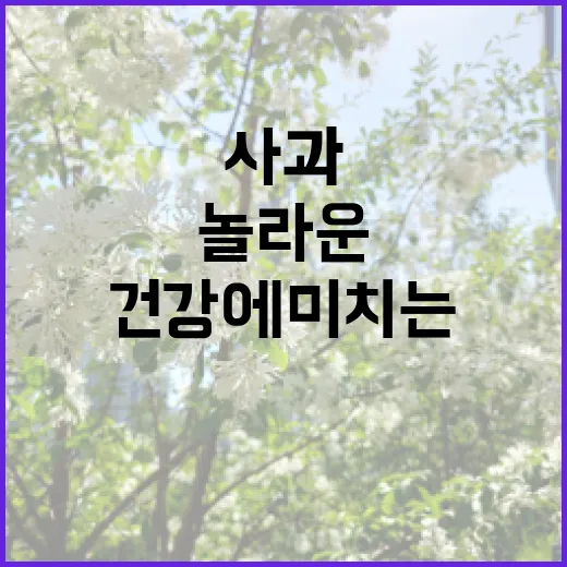 사과: 건강을 지키…