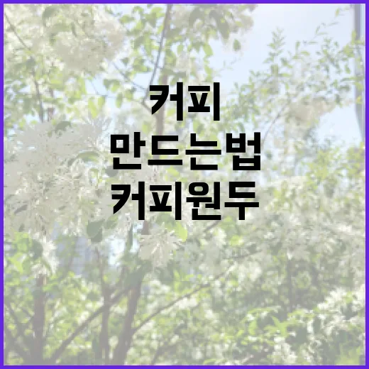 커피원두: 최고의 …