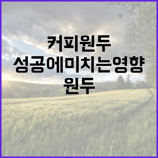 커피원두 선택이 창업 성공에 미치는 영향