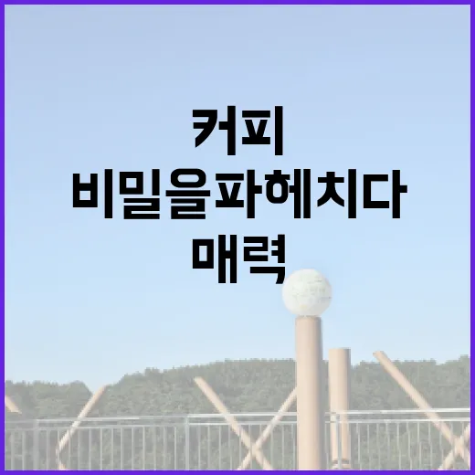 커피의 매력과 바리…