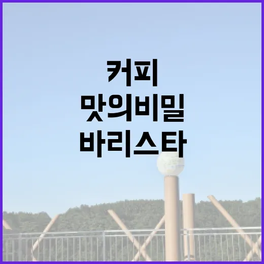 커피원두, 바리스타가 알려주는 맛의 비밀!