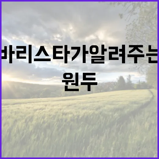커피원두의 숨겨진 …