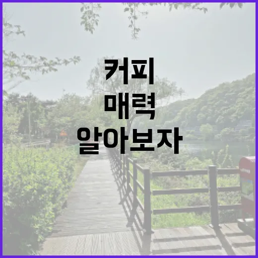 커피의 시작, 원두…
