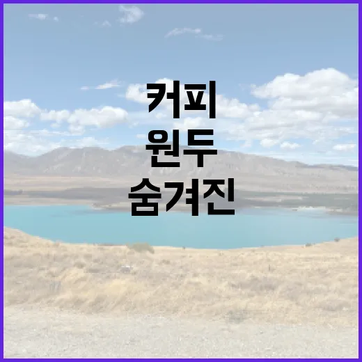 커피와 바리스타: 향미의 색다른 여정