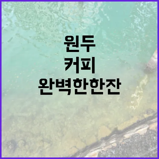 커피원두의 매력에 …