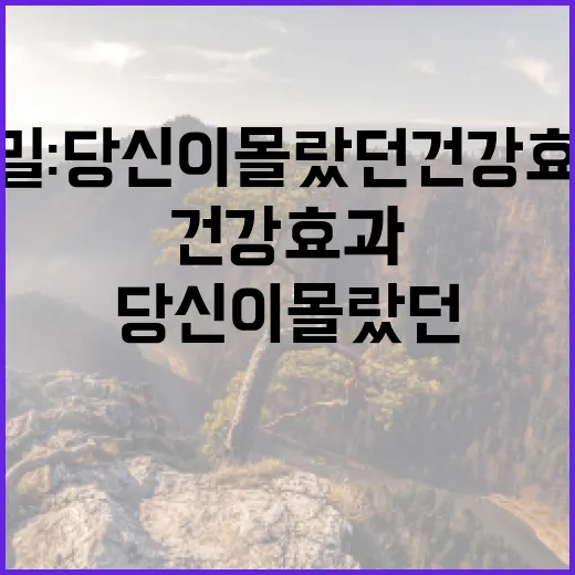 커피원두의 비밀: 당신이 몰랐던 건강 효과