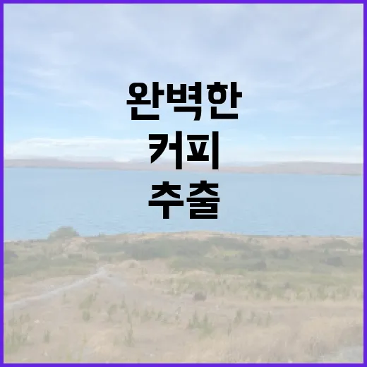 커피 원두, 일상 속 숨은 매력을 찾아서
