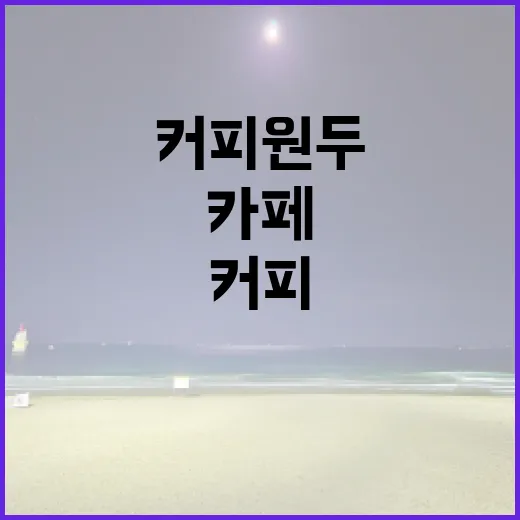 커피원두가 지켜주는 카페의 숨겨진 힘