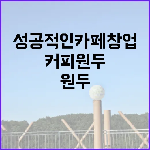 커피원두, 성공적인 카페 창업의 비밀