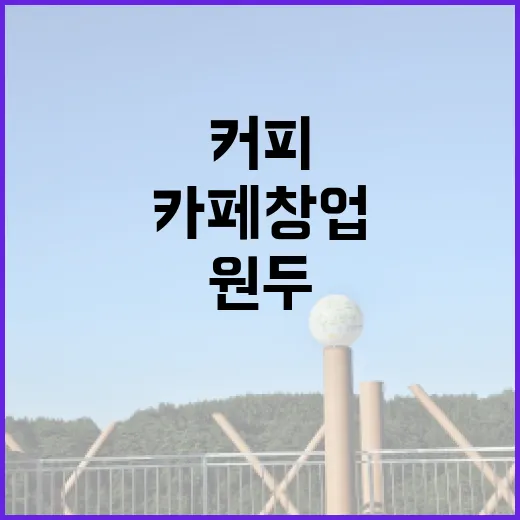 커피원두로 시작하는 카페 창업의 비밀