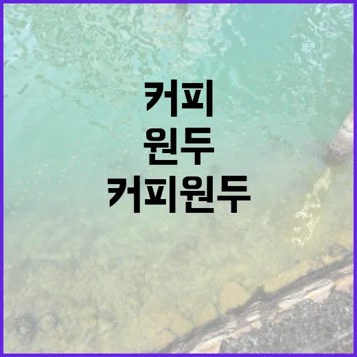 커피원두의 매력, 창업으로 연결하는 방법