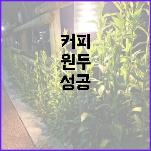 커피원두, 카페 창업 성공을 위한 비밀