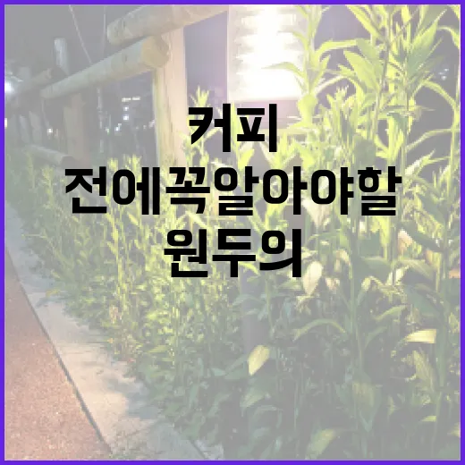 커피원두의 비밀… 창업 전에 꼭 알아야 할 사실