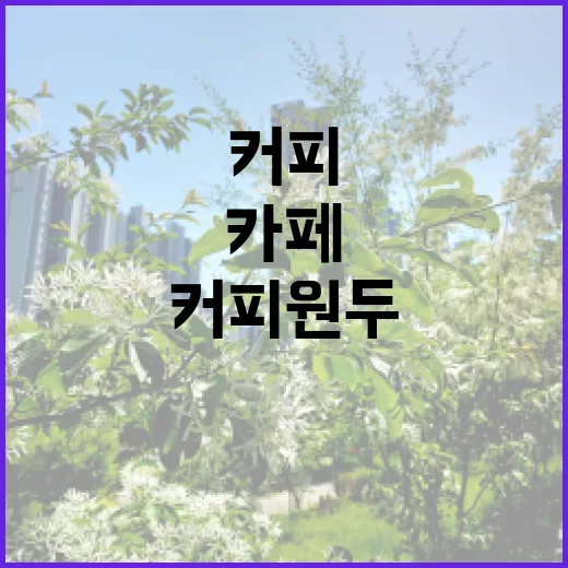 커피원두의 매력, 나만의 카페를 열어보자!